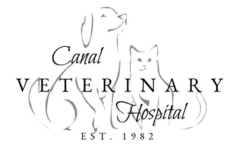 canal veterinary hospital turlock