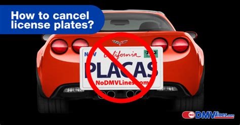 Cancel Your Plates Online