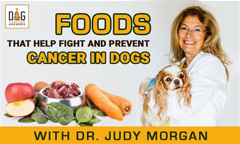 cancer dog food recommendations