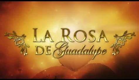 Letras de La Rosa | Musixmatch
