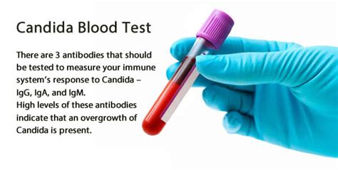 candida antibodies iga test