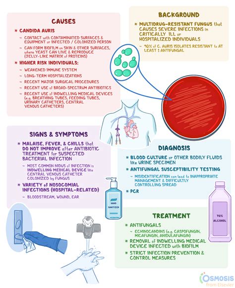 candida auris infection symptoms cdc