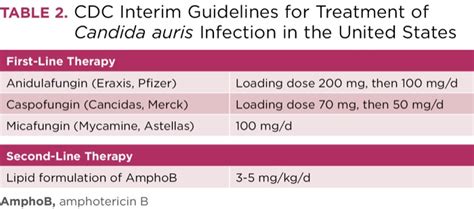 candida auris treatment guidelines