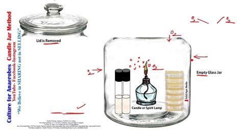 Candle In A Jar Explanation