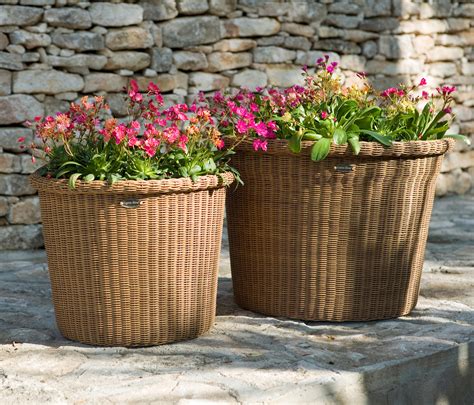 Cane Pots For Plants