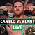 canelo vs plant live stream free watch crackstreams or