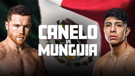 canelo vs munguia undercard fights
