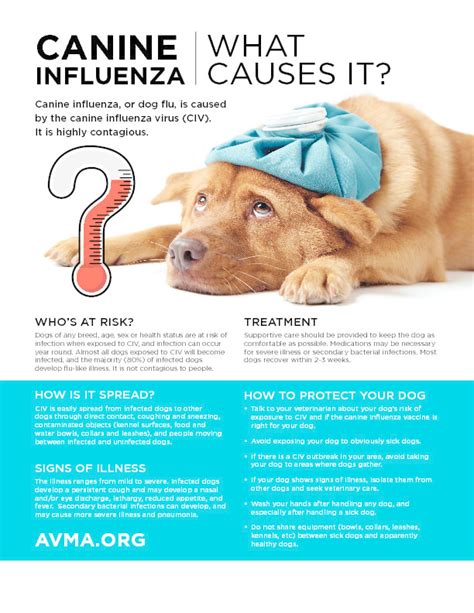canine influenza vaccine avma
