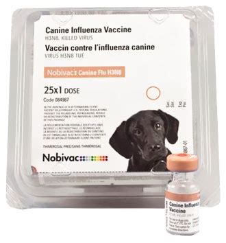canine influenza vaccine for dogs