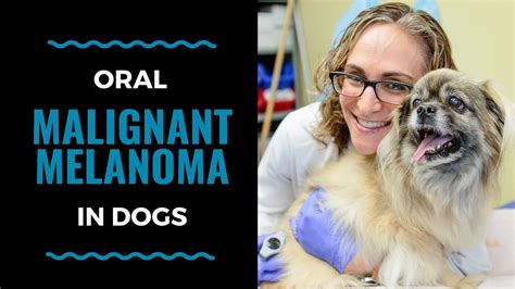 canine oral melanoma prognosis