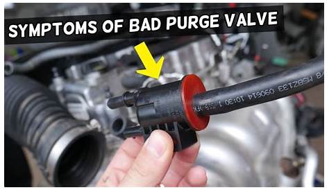 Canister Purge Valve Solenoid Symptoms How To Know If You Have A Bad YouTube