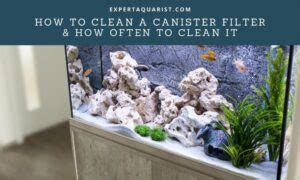 Canister Filter Cleaning Frequency