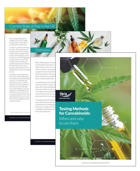 Cannabinoid Testing Methods