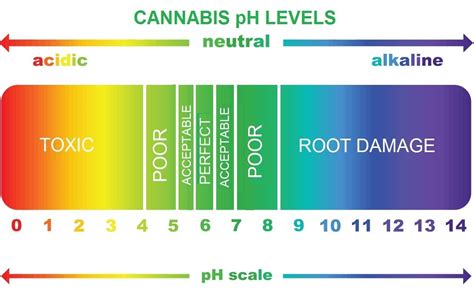 Cannabis Ph Chart