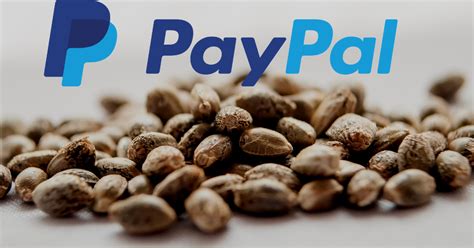cannabis seed companies that accept paypal