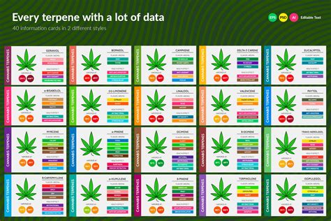 cannabis strains and terpenes chart