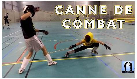 Canne De Combat Toulouse Championnats France 2017