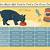 canned cat food calorie chart