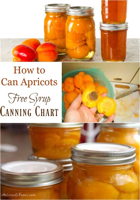 Canned Apricots Constipation