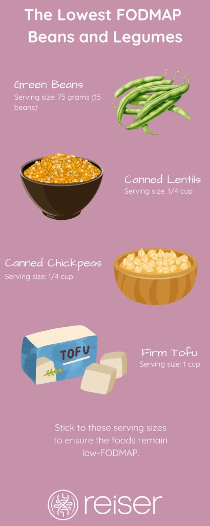 Canned Beans Low Fodmap