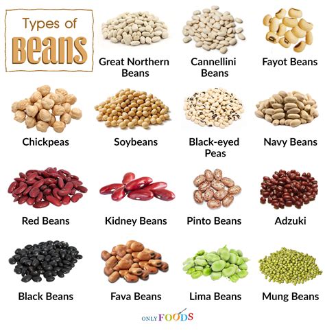 Canned Beans Types