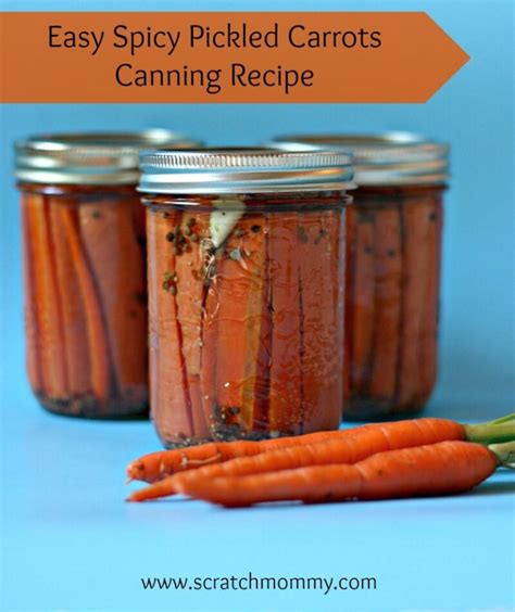 Canned Pickled Carrot Recipe