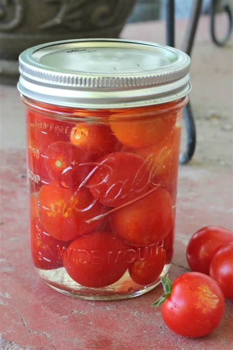 Easy Cherry Tomato Salsa. The Pretty Bee Recipe