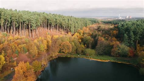 cannock chase forest centre