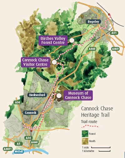 cannock chase forest location