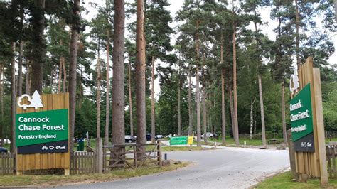 cannock chase visitor centre walks