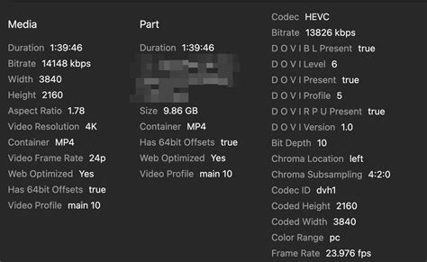 Cannot Convert This Item. Implementation For Video Decoder 'Av1' Not Found