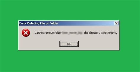 Cannot Delete Directory Not Empty C#