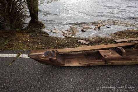 Canoe Found After Hurricane Irma May Be Hundreds Of Years Old Dugout