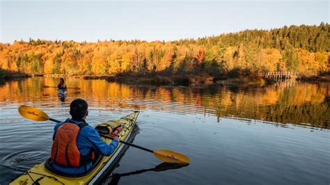 Brown Wooden canoe near trees · Free Stock Photo