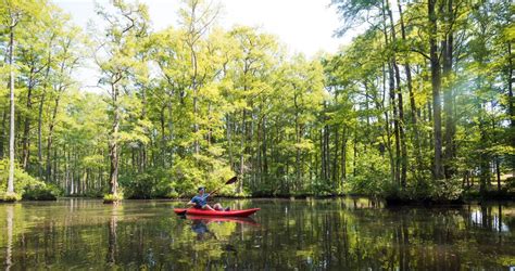 Canoe Rental Wilderness Tours Raft & Kayak Resort