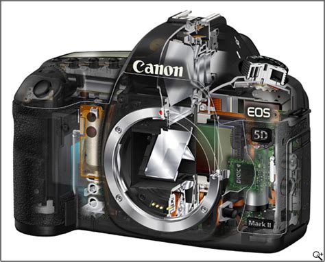 Canon 5D Mark II Sensor dan Resolusi