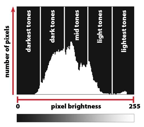 Canon Camera Brightness Histogram