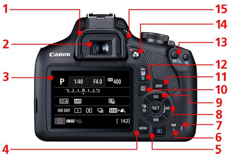 Canon Camera Button Functions
