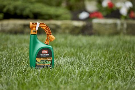 Lawn weed control