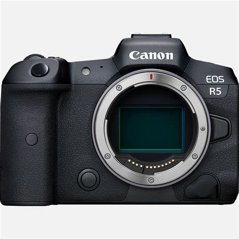 canon mirrorless camera options
