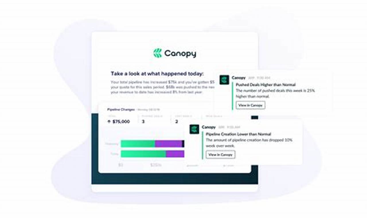 Canopy CRM: A Comprehensive Guide to Unlock the Power of Sales