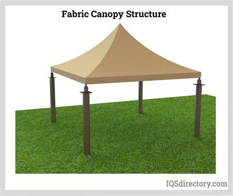 Canopy Example Meaning