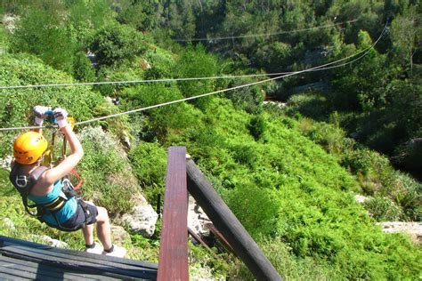 Canopy Tour Definition