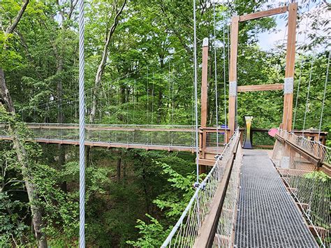 canopy walk in ohio