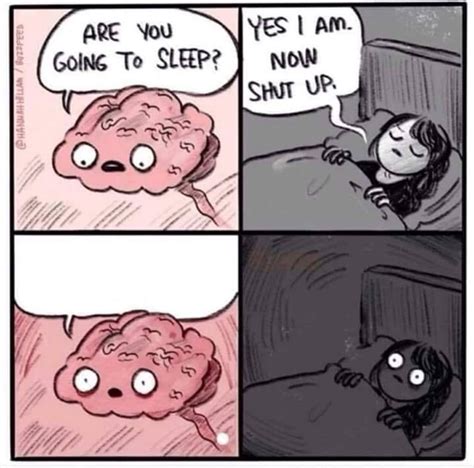 40 of the Funniest Can't Sleep Memes Ever ShutEye