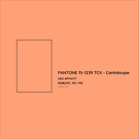 Cantaloupe Color Code