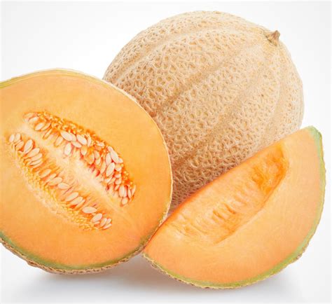 Cantaloupe Type Melons
