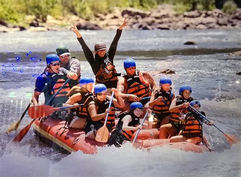 A Radiused Corner My Bento Box I ♥ Nashville Cantrell's