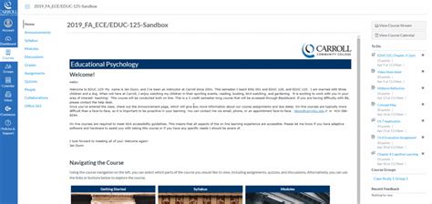 Canvas Carroll Artist