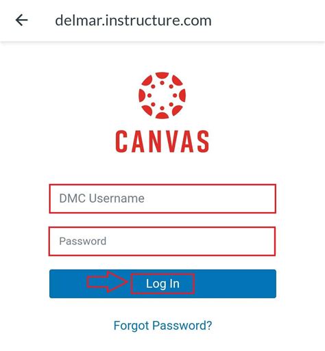 5 Ways Canvas Delmar